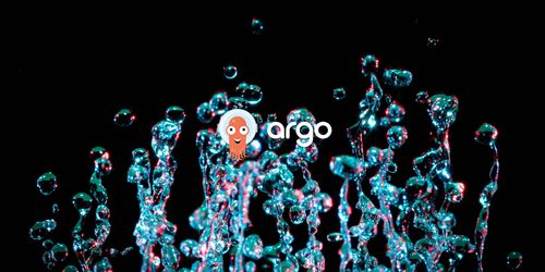 Running workflows in you k8s cluster: Argo Workflows