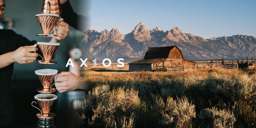 Axios interceptors to validate allowed headers