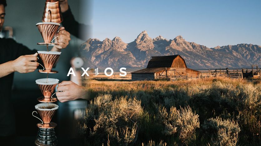 Axios interceptors to validate allowed headers