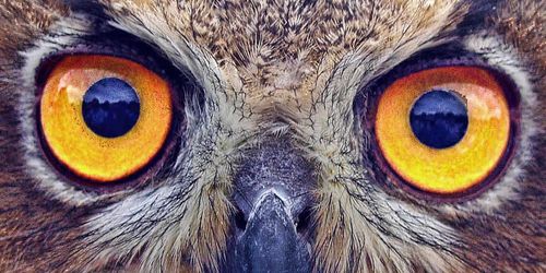 How Vue's reactivity works (I): Object.defineProperty