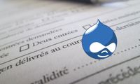 Usar un 'field widget' en un formulario convencional en Drupal 7