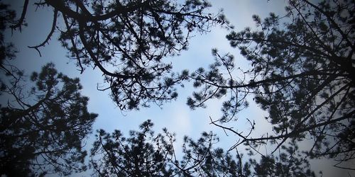 Reuniones presenciales vs reuniones online